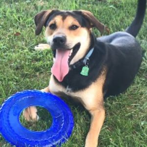 Meet your Posher, Janet